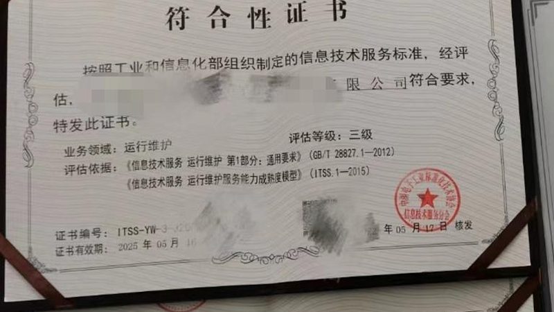 IT外包公司上海：揭秘企业数字化转型的得力助手
